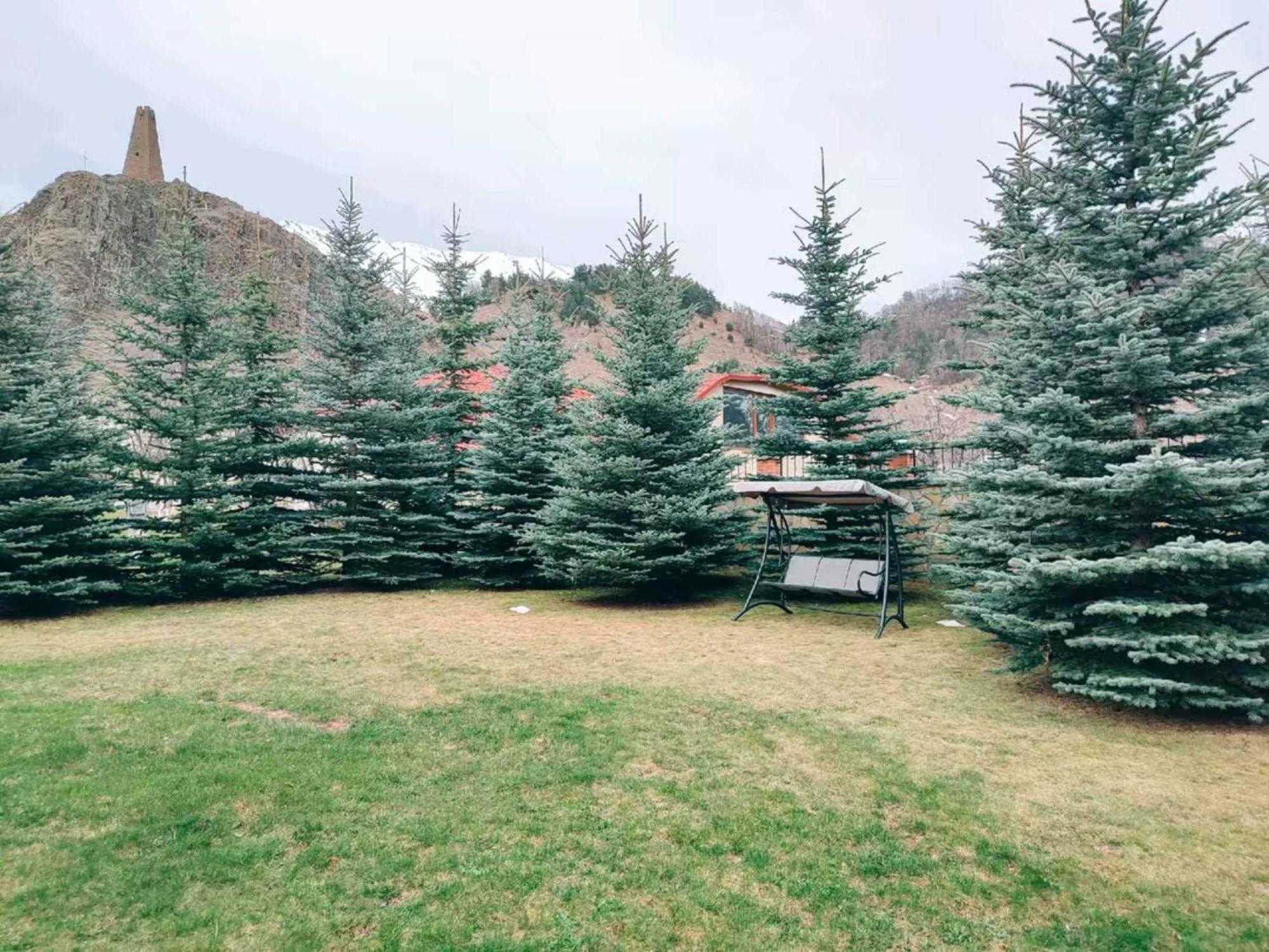 Vardisubani Villa Казбеги Экстерьер фото
